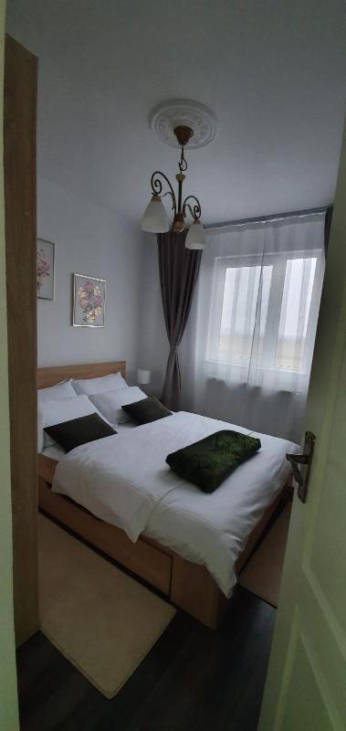 Apartament Thea Διαμέρισμα Făgăraş Εξωτερικό φωτογραφία