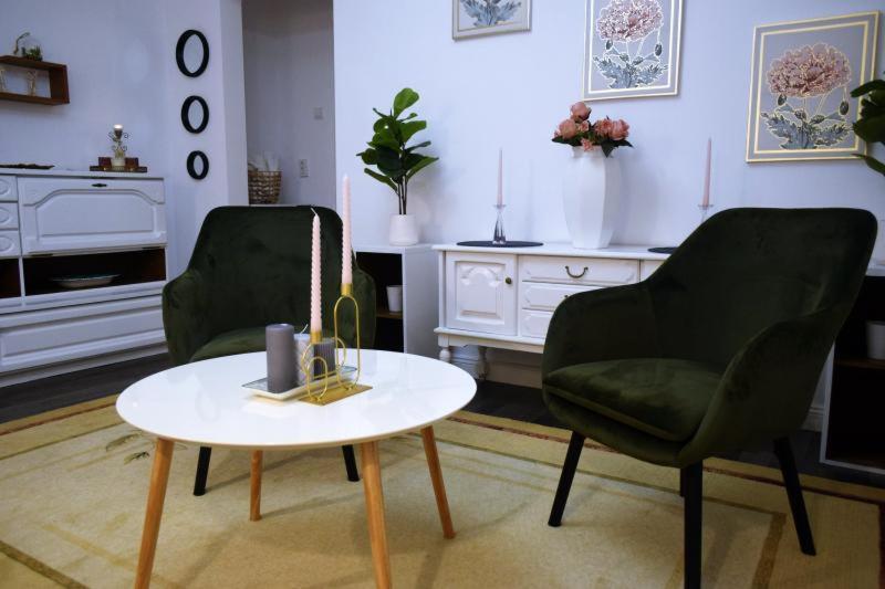 Apartament Thea Διαμέρισμα Făgăraş Εξωτερικό φωτογραφία