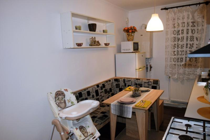 Apartament Thea Διαμέρισμα Făgăraş Εξωτερικό φωτογραφία