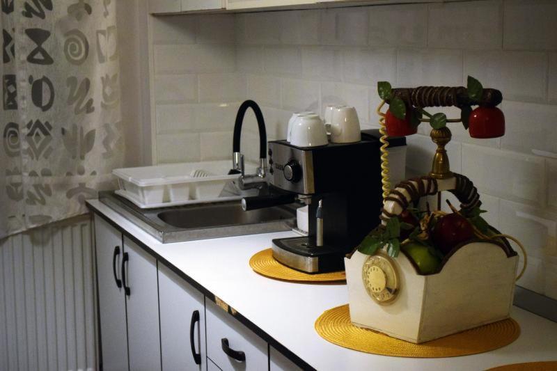 Apartament Thea Διαμέρισμα Făgăraş Εξωτερικό φωτογραφία