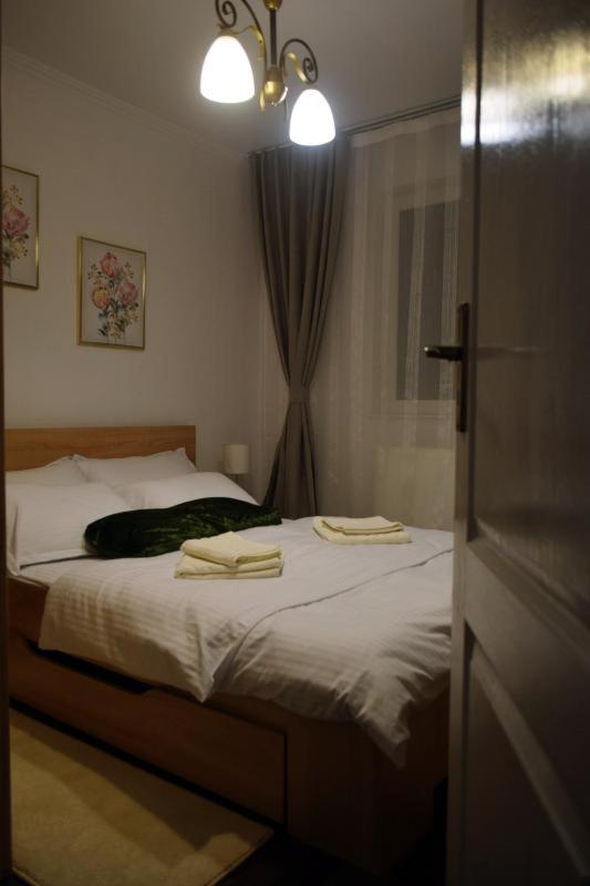 Apartament Thea Διαμέρισμα Făgăraş Εξωτερικό φωτογραφία