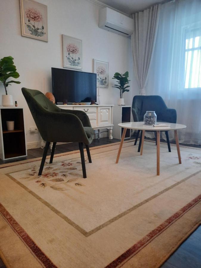 Apartament Thea Διαμέρισμα Făgăraş Εξωτερικό φωτογραφία